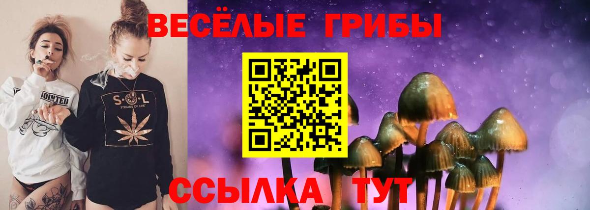 Богданович  Галлюциногенные грибы ЛСД  Вход с VPN  даркнет сайт  Галлюциногенные грибы мицелий 